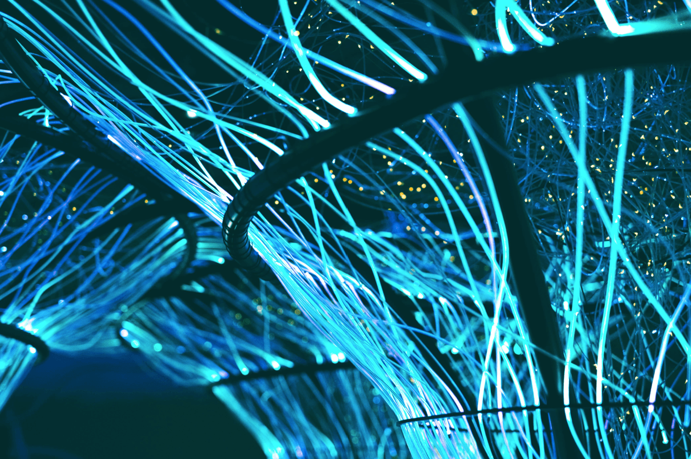 Application Lifecycle Services