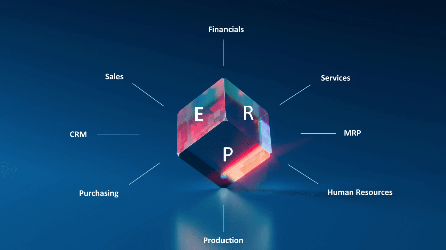 ERP Implementation, Roll out to lead business